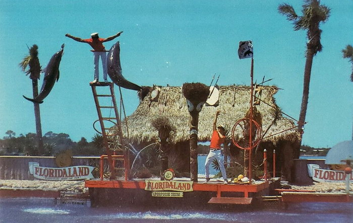 Floridaland - Vintage Postcard